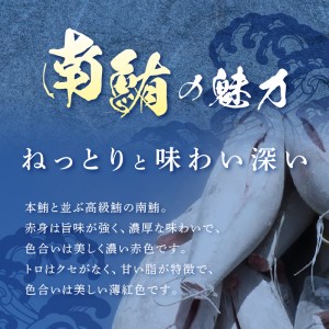 訳あり 天然 南鮪 中トロ 約400g 訳あり OR FN-SupportProject OR 増量 OR 年末企画 訳あり (a10-859)