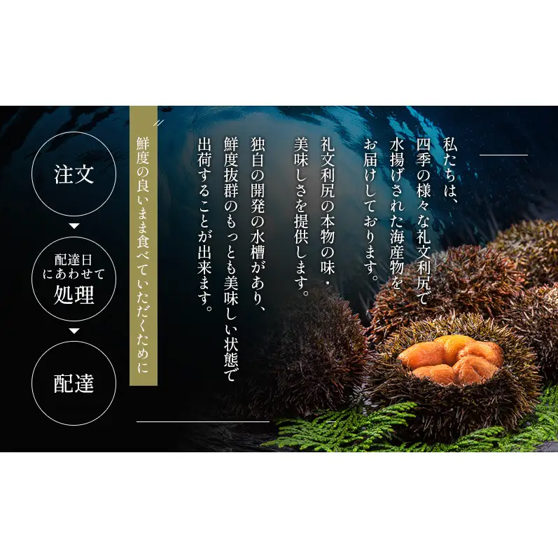 礼文産 塩水ウニ エゾバフンウニ 100g×3 うに