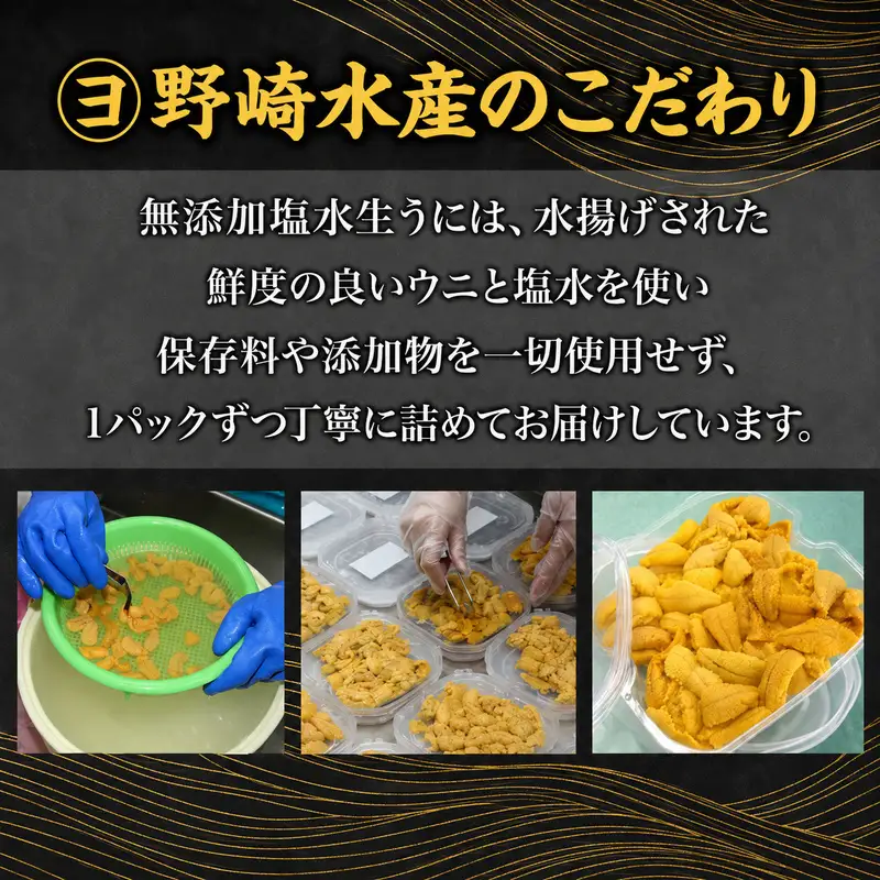 うに 礼文島産 塩水生うに キタムラサキウニ うに【100g×12パック】