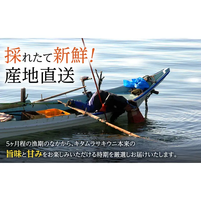 礼文産キタムラサキウニ 塩水 200g(100g×2) うに