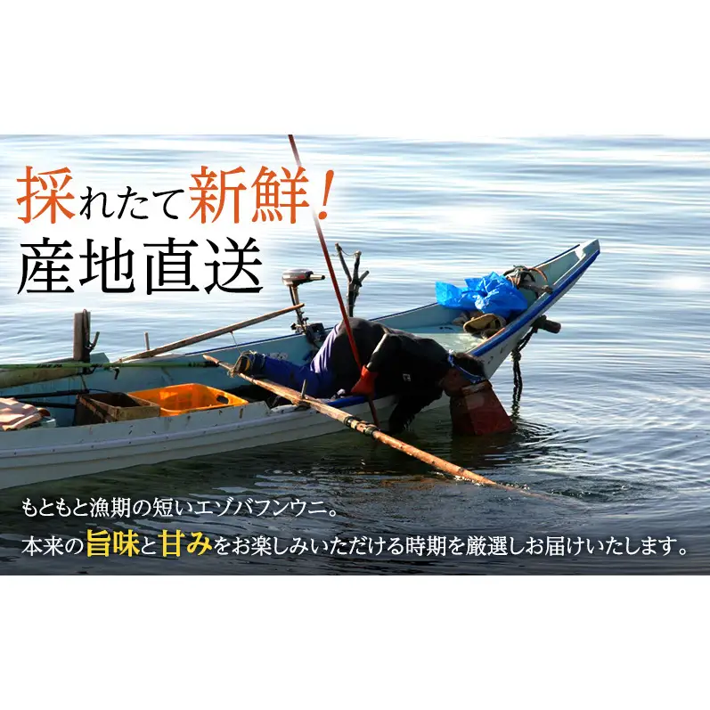 礼文産 エゾバフンウニ 折詰 200g×1 うに