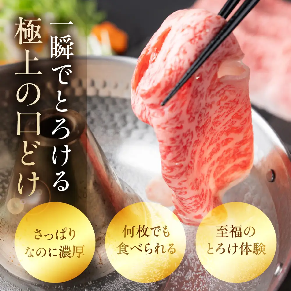 飛騨牛 A5 しゃぶしゃぶ用 ロース肉 360g｜しゃぶしゃぶ