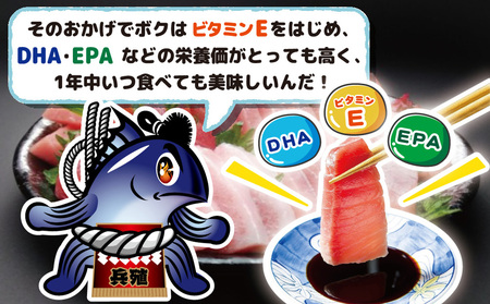 マグロ まるごと1本 約60kg (解体・カットなし) | マグロ 津久見市