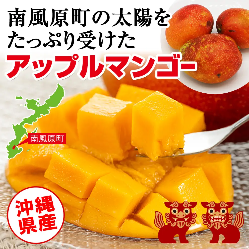 【2027年発送】濃厚なアーウィンマンゴー1.5kg 家庭用
