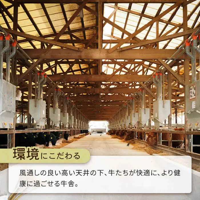 【12回定期便】長崎県産 和牛 肩ロース スライス 500g / 南島原市 / 高田牧場 [SDB010]