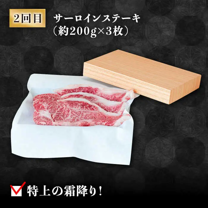 【豪華4回定期便】長崎和牛 食べ比べ / ヒレ サーロイン ロース シャトーブリアン / 南島原市 / ながいけ [SCH045]