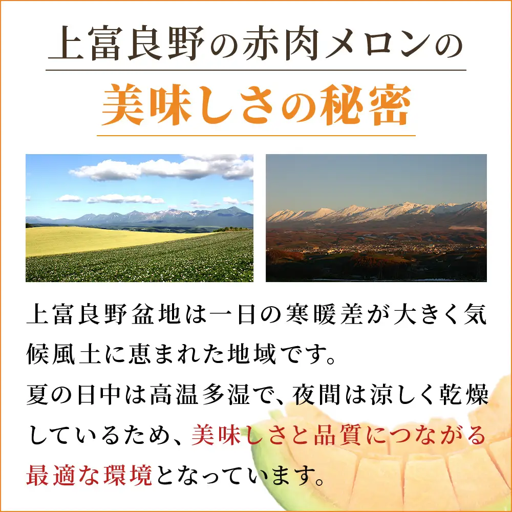 【令和8年産】赤肉メロン  Lサイズ 1.6kg～1.9kg 2玉 秀品 メロン
