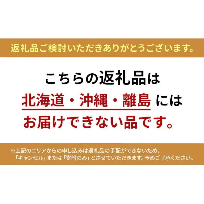 越冬 ぶどう 紫苑 （しえん）2房 合計1.2kg（1房 約600g） 岡山県産 ぶどう