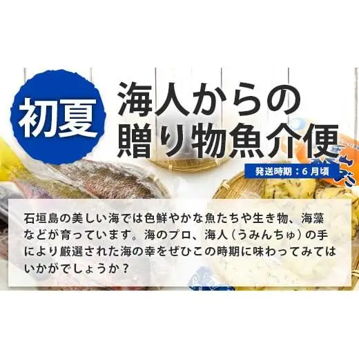 【4回/年定期配送 石垣島のタカラモノ便】 SH-3 春夏秋冬のお楽しみ