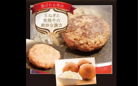 常陸牛入り ひまわりハンバーグ A73-005