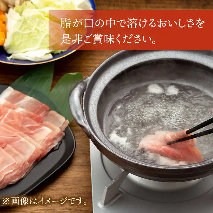芳寿豚 とんかつ用ロース 500g 南島原市 / 芳寿牧場 [SEI029]
