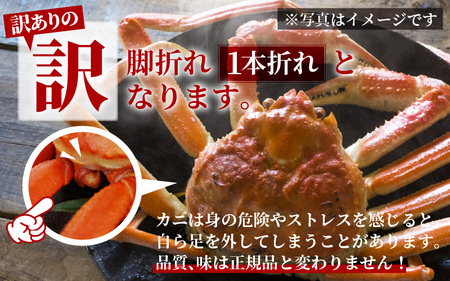 【訳あり】 【先行予約】越前がに 中 (約550g～700g)×2杯【11月～12月発送】 日本海 直送