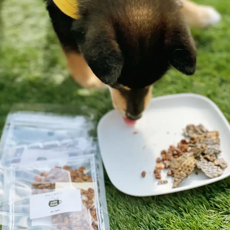 無添加 手作り 犬用ジャーキー 7袋 ペットフード