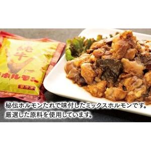 広島県産牛たれづけと純牛味付尾道ホルモンのセット