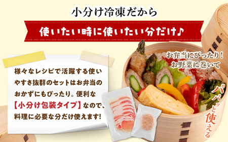 宮崎県産豚 ロース1kg&チーズインハンバーグ5個 セット
