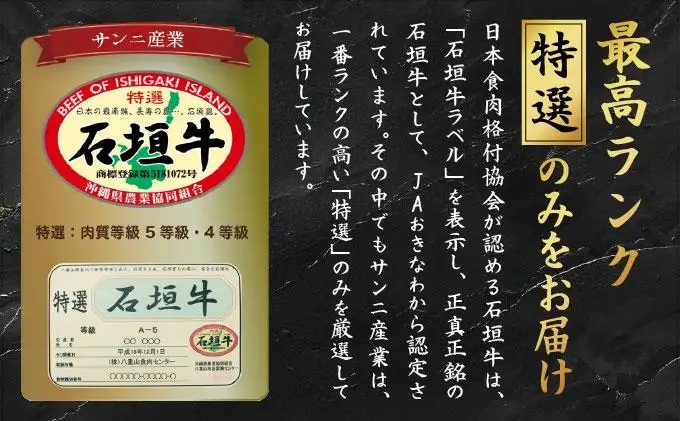 石垣牛リブロースステーキ200g×3枚 