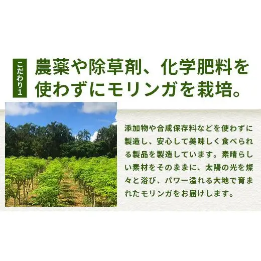  モリンガ青汁（スティックタイプ）MR-2-1