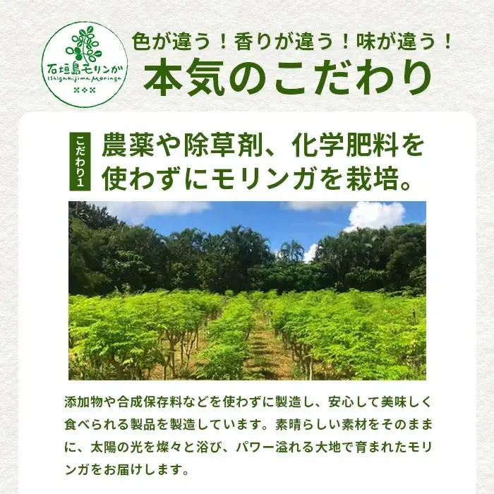 モリンガお試し３点セット　MR-004