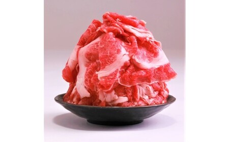 【定期便3ヶ月】 牛肉 A4～A5 博多和牛 切り落とし 1000g (500g×2p) 牛肉