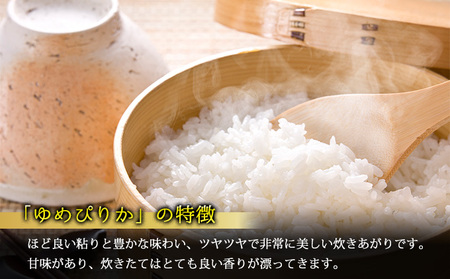 【北海道富良野産】令和6年産 ゆめぴりか 10kg お米 米 ご飯 ごはん 白米