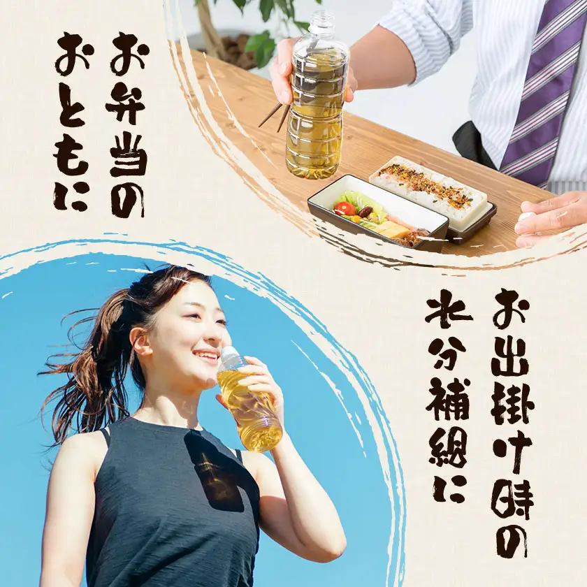 北さつま茶 500ml×24本 北さつま農協《30日以内に出荷予定(土日祝除く)》