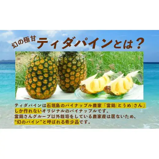 YK-7 當銘さんの完熟カットパイン３袋＆石垣産カットマンゴー２袋（計：１．２５ｋｇ）パイナップル マンゴー