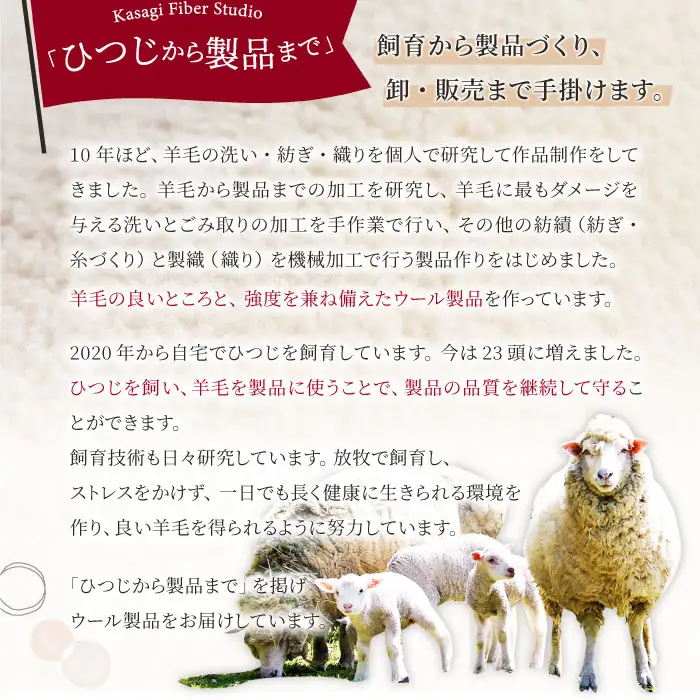 ひつじ飼いが作る ごほんゆびウールソックス Mサイズ(ダークブラウン)【ウール ソックス 5本指 靴下 Mサイズ ダークブラウン ブラウン レディース メンズ 男女兼用 島根県 大田市】