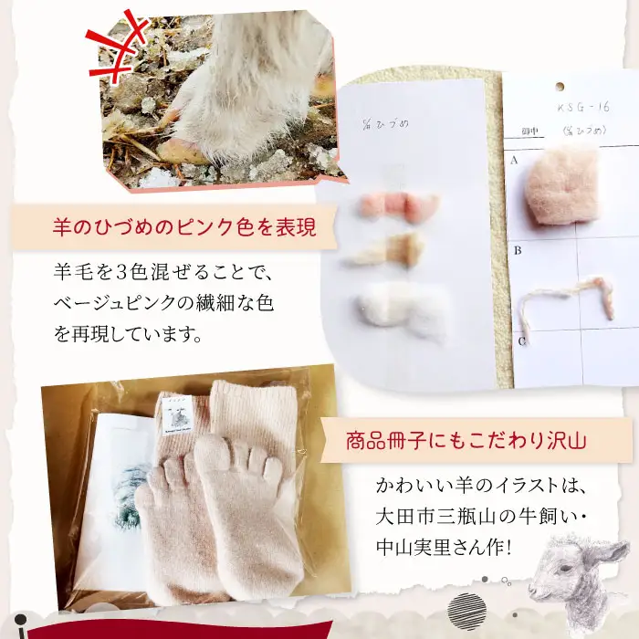 ひつじ飼いが作る ごほんゆびウールソックス Lサイズ(ピンクベージュ)【ウールソックス 5本指 靴下 Lサイズ ピンクベージュ ピンク ベージュ レディース メンズ 男女兼用 島根県 大田市】