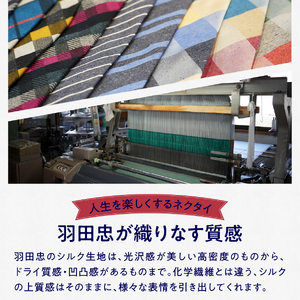 ＨＡＤＡＣＨＵ　シルクネクタイ　ＮＴＭ128 高級ネクタイ ファッション プレゼント 