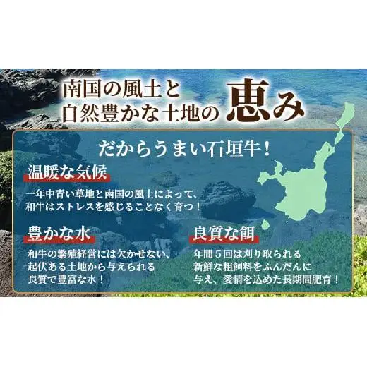 TA-2 石垣牛サーロインステーキ200g×2枚