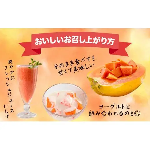フルーツパパイヤ４kg