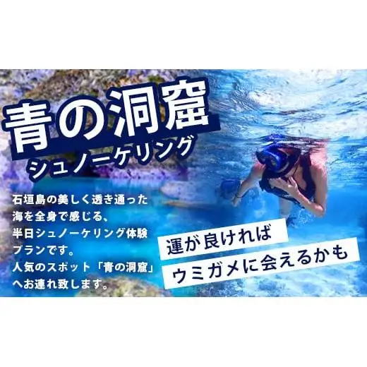 石垣島の自然を満喫！石垣島1日アクティビティ (利用券 1名様分) NS-2