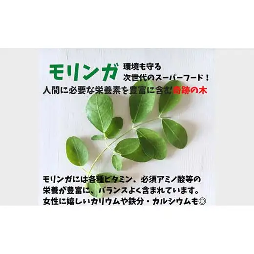IB-6 石垣島ビール工房 手作りソーセージ3種30本セット〈月桃〉〈モリンガ〉〈もずく〉