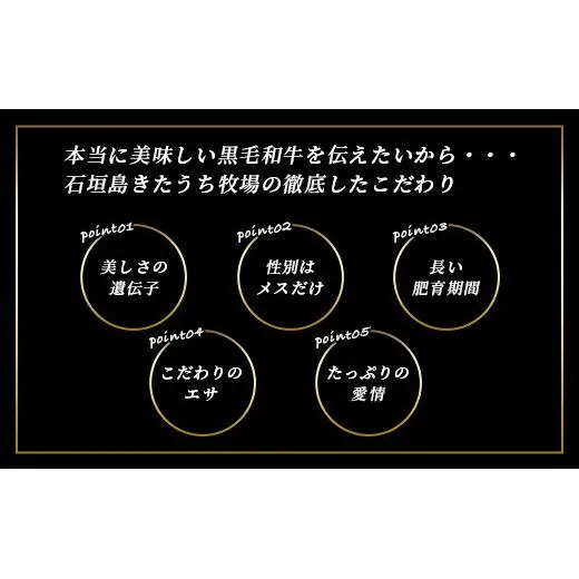 特製レトルトビーフシチュー 5個【総重量1.1Kg】 AM-20
