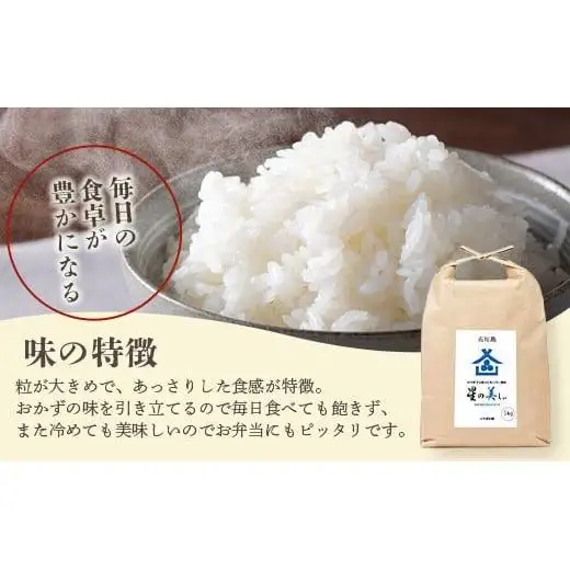 石垣島産 星の美(かい)しゃ 5kg みやぎ米屋　MK-3 