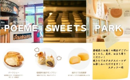 瀬戸内銘菓 母恵夢 9個入　ポエム 手土産 贈答 ギフト お菓子 スイーツ 和菓子 茶菓子 