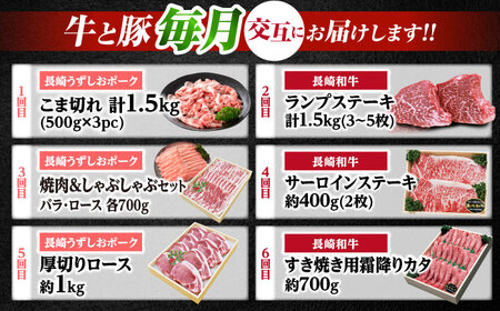 12回定期便 長崎和牛 長崎うずしおポーク 定期便 総計9.1kg CAG254 和牛 定期便