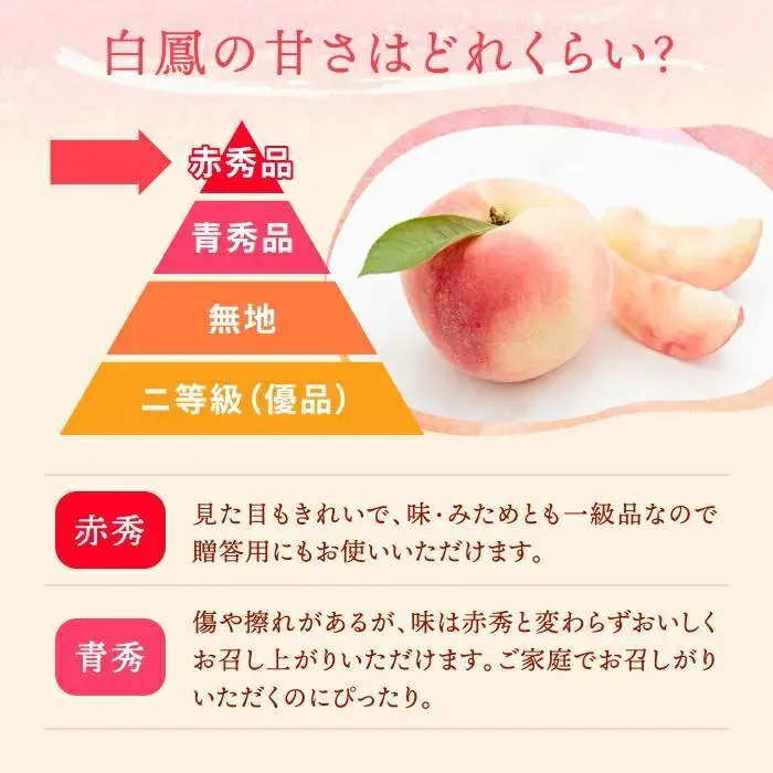 和歌山県産 白鳳 桃 5～8玉入り 秀品 先行予約［2027年6月下旬以降発送］［MG6］
