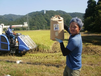 「 悠紀の国 」 五城目町杉沢産　清流米　あきたこまち10kg（精米） お米 白米 ライス ご飯 ブランド米 銘柄米 お弁当 おにぎり 秋田県産 食卓 産地直送 主食 炭水化物 