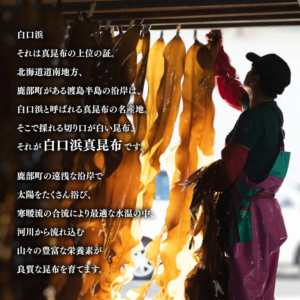 【北海道鹿部町産】白口浜真昆布使用 根昆布だし 500ml