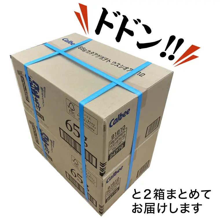 【最短3営業日！スピード発送】 カルビー 堅あげポテト うすしお味 24袋 ( 2ケース ) 65g ポテチ お菓子 おかし 大量 スナック おつまみ ジャガイモ じゃがいも まとめ買い 数量限定