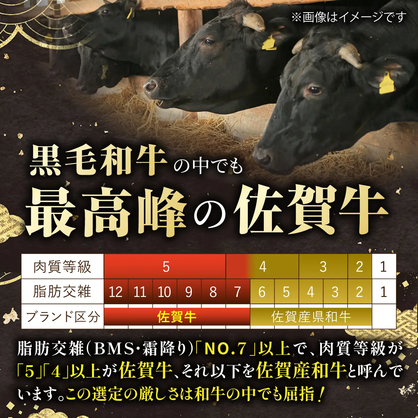 【スピード発送】佐賀牛 スライス 赤身モモ 1.5kg [IAG033]牛肉スライス