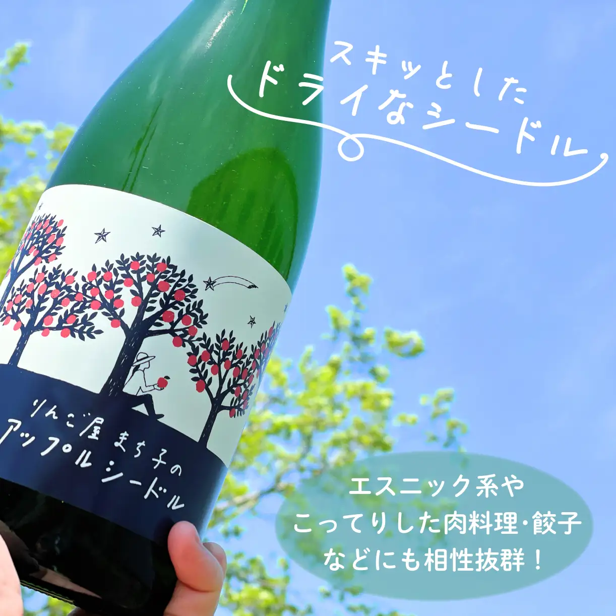 【スピード発送】 アップル シードル 750ml 1本  