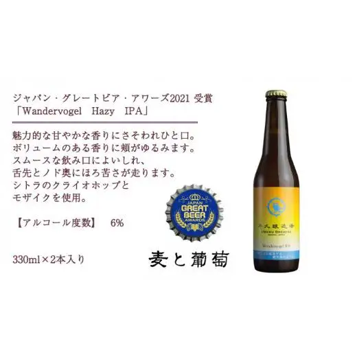 2年連続！《 ジャパン・グレートビア・アワーズ 受賞 》クラフトビール3種 計 6本セット