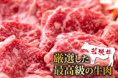 【福井のブランド牛肉】若狭牛切り落とし(モモor肩orバラ) 450g(225g×2パック)【4等級以上】