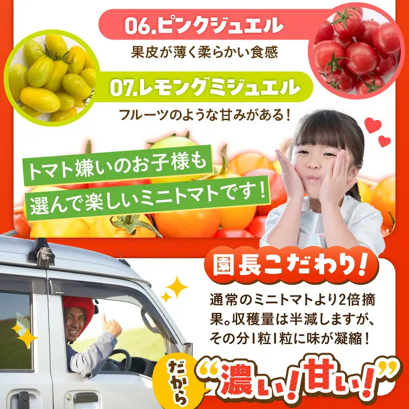 【2027年発送】【お試し】まるでトマトの宝石箱！フルーツジュエリートマト 約800g 長田農園 産地直送 トマト とまと 野菜 やさい フルーツ サラダ 濃厚 甘い ご褒美 プレゼント 美容 健康 リピート多数 人気 高評価 先行受付 数量限定 碧南市 H004-178