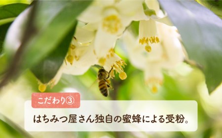 【2023年1月中旬より順次発送】はちみつ屋さんの 糸島産 あまおう（270g×2パック） 糸島市 / ヴァンベールフーズ [AFJ004]