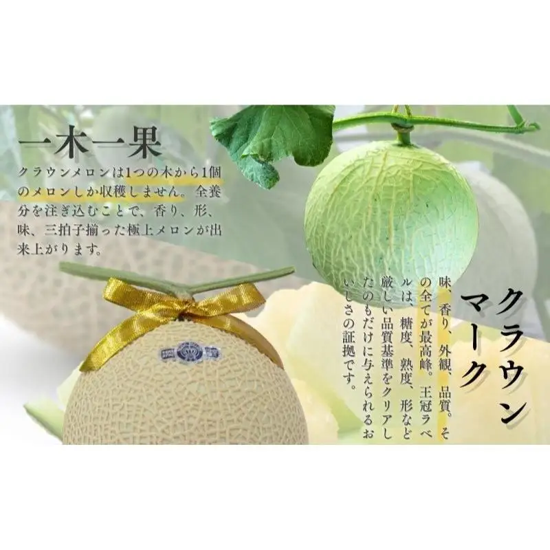 クラウンメロン 6玉 白等級 中玉 1.3kg メロン