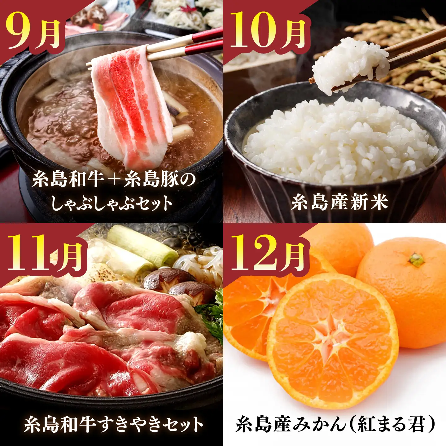 【限定30セット】伊都菜彩 プレミアム 定期便 ( 2人前 ) 糸島の山の幸、海の幸が詰まったバイヤーオススメの年間定期便 糸島市 / JA糸島産直市場 伊都菜彩 [AED011]
