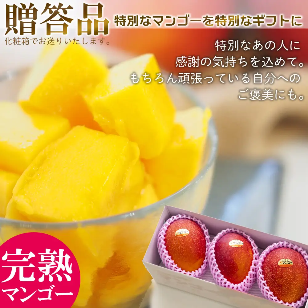 【2027年発送】最高級 常夏アップルマンゴー！糖度17度以上 約5kg農園から直送